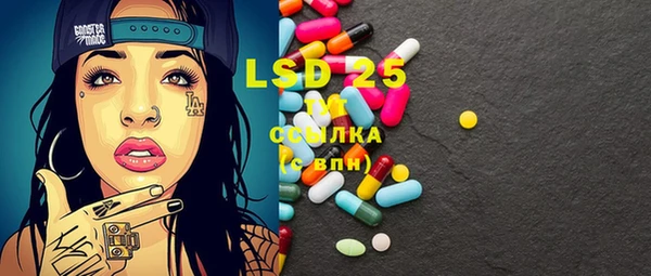 шишки Алзамай