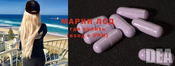 шишки Алзамай