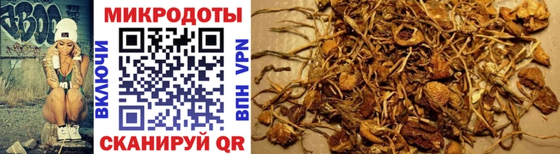 Галлюциногенные грибы GOLDEN TEACHER  Амурск 