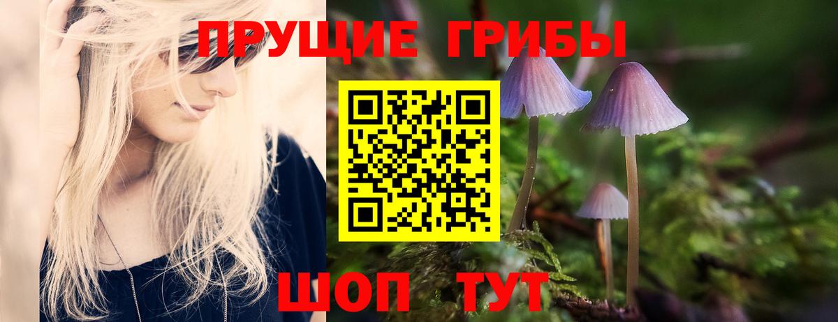 Галлюциногенные грибы прущие грибы Амурск